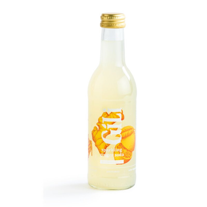 SLOWMOVER 30/10/2026 Gember limonade BIO 25cl